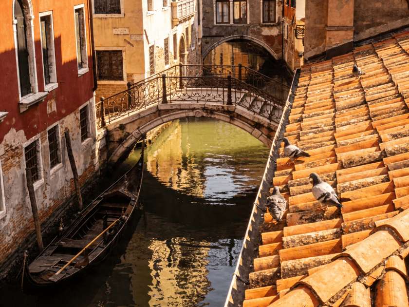 Венеция за 1 день: лучший пеший маршрут с картой и таймингом
